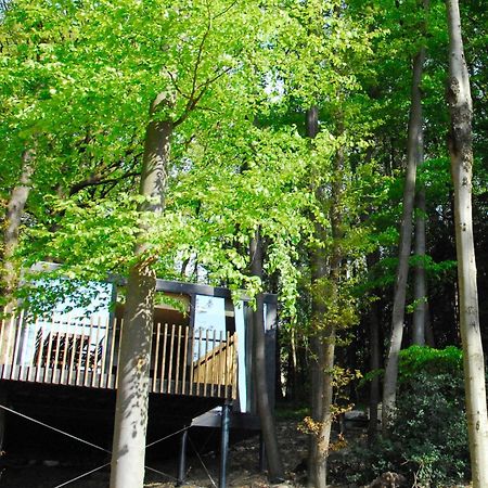 Gite Des Bois De Spa Esterno foto