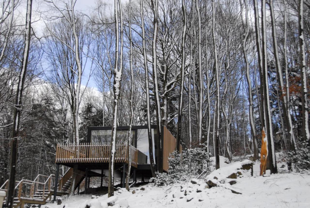 Gite Des Bois De Spa Esterno foto