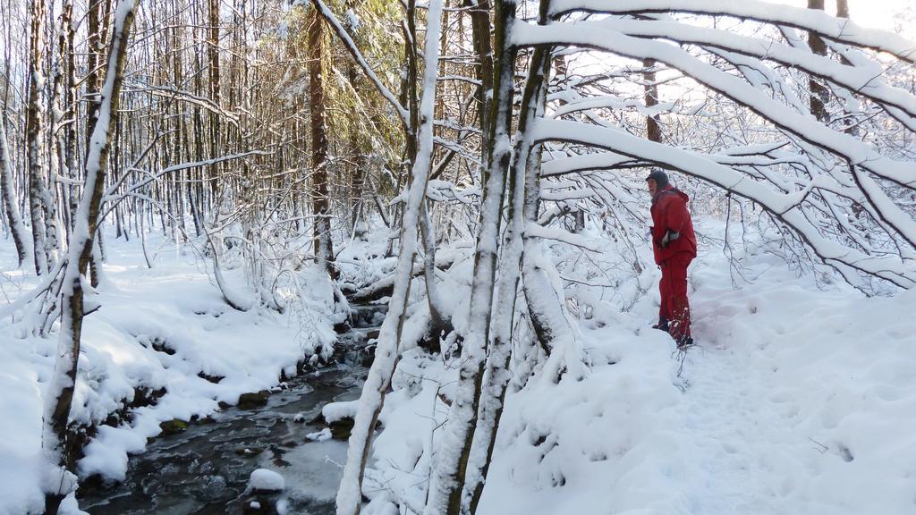 Gite Des Bois De Spa Esterno foto